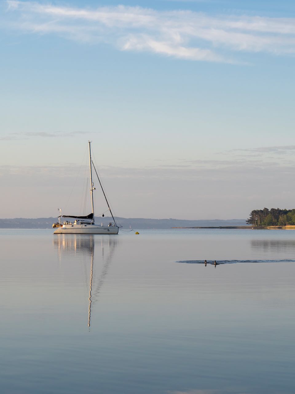 Hønsehals skov